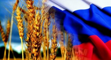 Российский экспорт зерна в сезоне 2017/18 годов